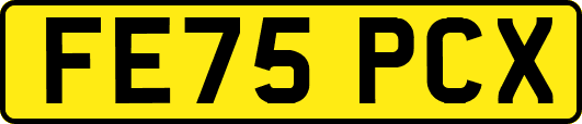 FE75PCX