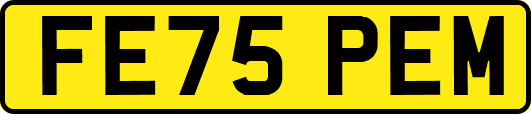 FE75PEM