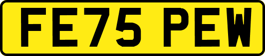 FE75PEW