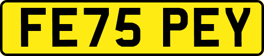 FE75PEY