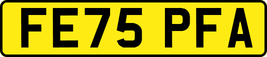 FE75PFA