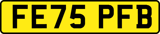 FE75PFB