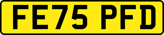 FE75PFD