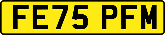 FE75PFM