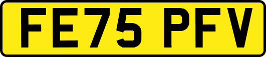 FE75PFV