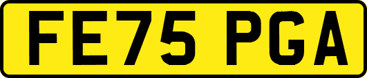 FE75PGA