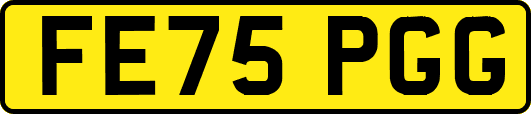 FE75PGG