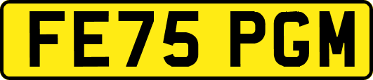 FE75PGM
