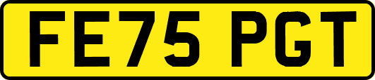 FE75PGT