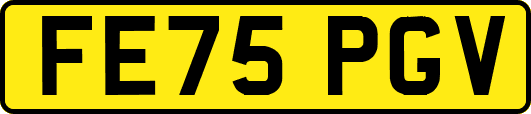 FE75PGV