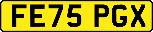 FE75PGX