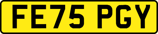 FE75PGY