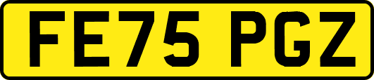 FE75PGZ