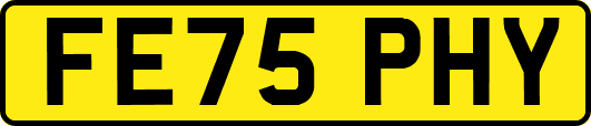FE75PHY
