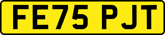 FE75PJT
