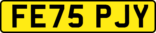FE75PJY