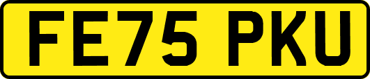FE75PKU