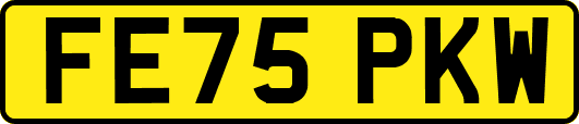 FE75PKW