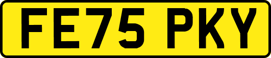 FE75PKY