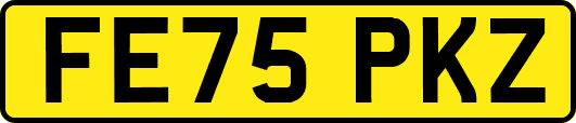 FE75PKZ