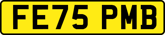 FE75PMB