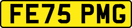 FE75PMG