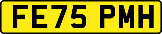 FE75PMH