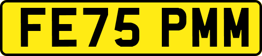 FE75PMM