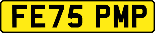 FE75PMP