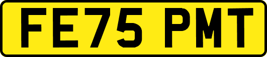 FE75PMT