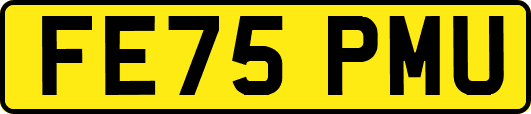 FE75PMU