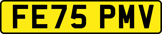 FE75PMV