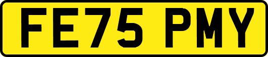 FE75PMY