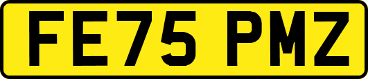 FE75PMZ