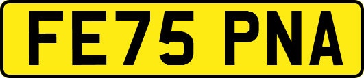 FE75PNA