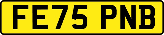 FE75PNB