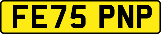 FE75PNP