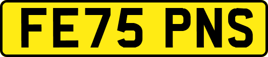 FE75PNS