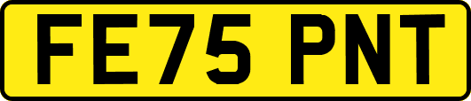 FE75PNT