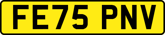 FE75PNV
