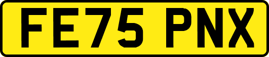 FE75PNX