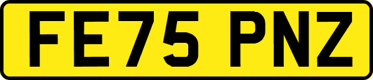 FE75PNZ