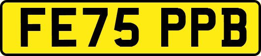 FE75PPB