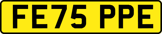 FE75PPE