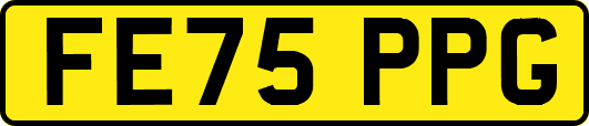 FE75PPG