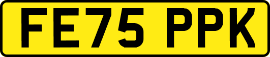 FE75PPK