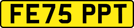 FE75PPT