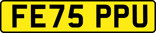 FE75PPU
