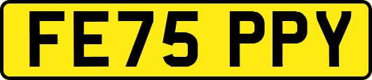 FE75PPY