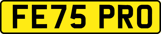 FE75PRO